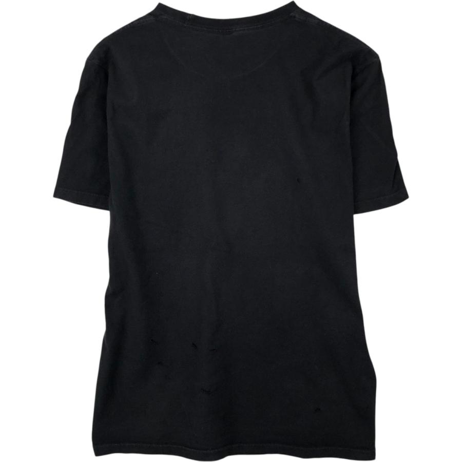 STUSSY（ステューシー） 古着 サーフ スケートTシャツ メンズM相当