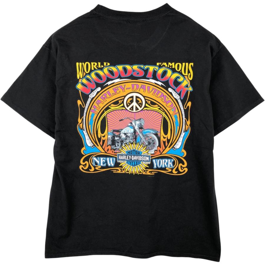 古着 ハーレーダビッドソン Harley-Davidson モーターサイクル バイクT