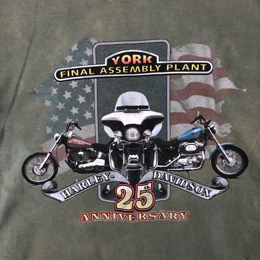 90年代 USA製 ヘインズ チャンピオン ビンテージ Tシャツ ハーレー