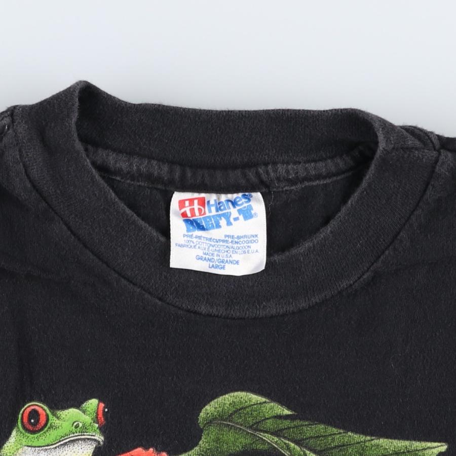 Hanes（ヘインズ） 古着 90年代 Hanes BEEFY-T カエル柄 アニマルT