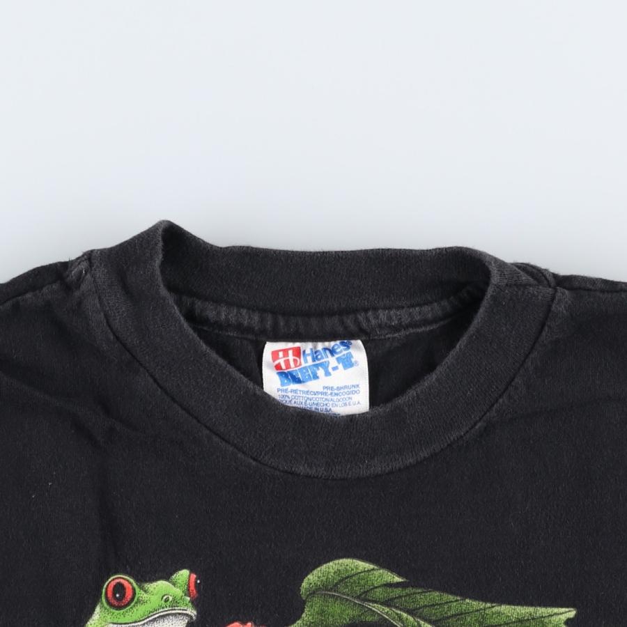 Hanes（ヘインズ） 古着 90年代 Hanes BEEFY-T カエル柄 アニマルT