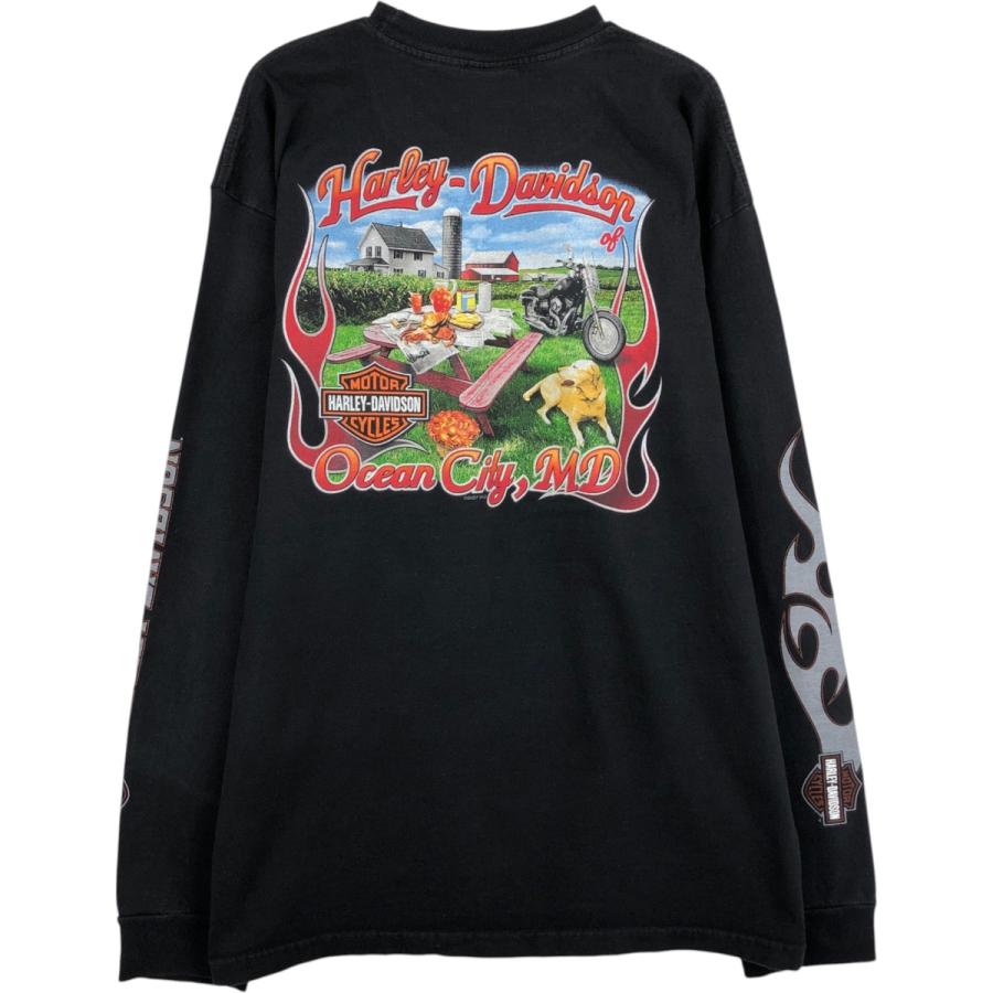古着 00年代 ハーレーダビッドソン Harley-Davidson モーターサイクル