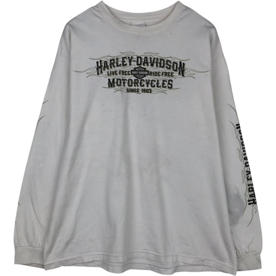 ハーレーダビッドソン ファイヤーパターン ロングtシャツ 古着 ハーレーダビッドソン Harley-Davidson ファイヤーパターン