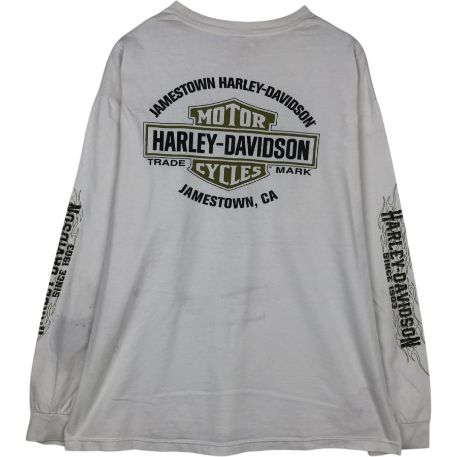古着 ハーレーダビッドソン Harley-Davidson ファイヤーパターン