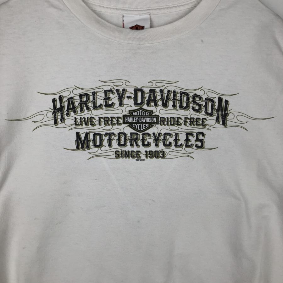 古着 ハーレーダビッドソン Harley-Davidson ファイヤーパターン