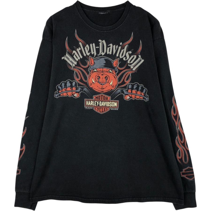 古着 Harley-Davidson ハーレーダビッドソン ファイヤーパターン