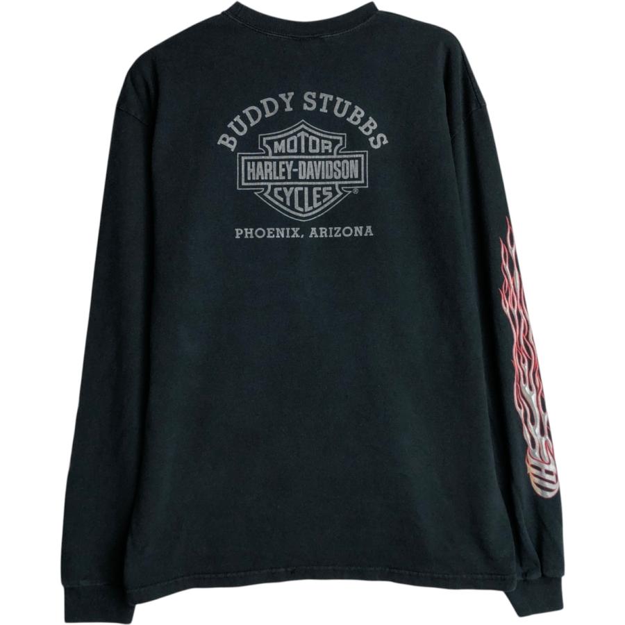 古着 ハーレーダビッドソン Harley-Davidson ファイヤーパターン 鷲柄