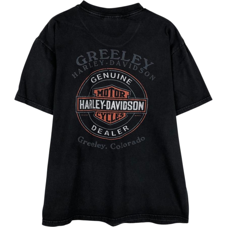 古着 ハーレーダビッドソン Harley-Davidson ピンナップガール 