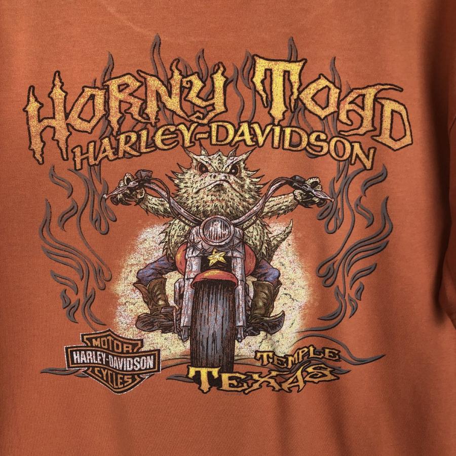 古着 ハーレーダビッドソン Harley-Davidson ファイヤーパターン
