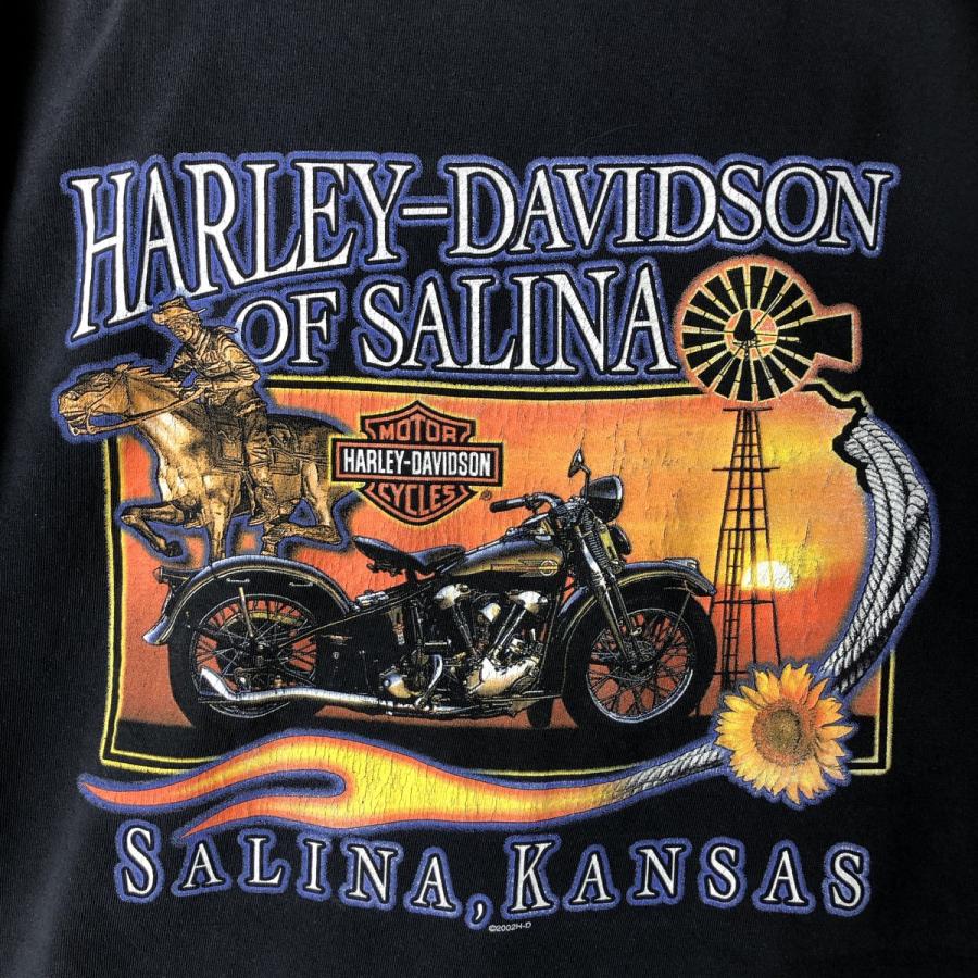 古着 00年代 ハーレーダビッドソン Harley-Davidson 鷲柄 イーグル柄