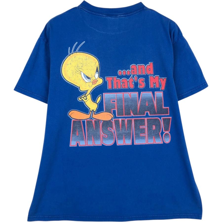 90s　ルーニーテューンズ　映画　アニメ　Tシャツ　フェード　タズ　エイリアン 古着 90年代 LOONEY TUNES ルーニーテューンズ TWEETY トゥイーティー