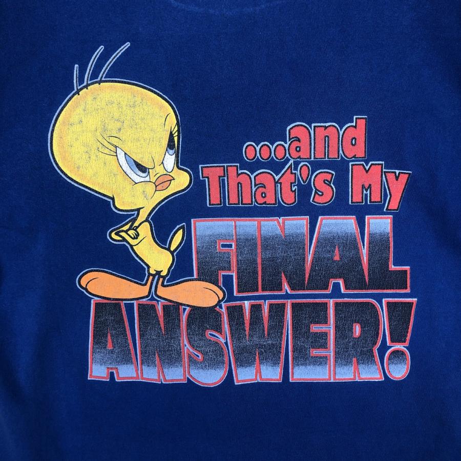 古着 90年代 LOONEY TUNES ルーニーテューンズ TWEETY トゥイーティー