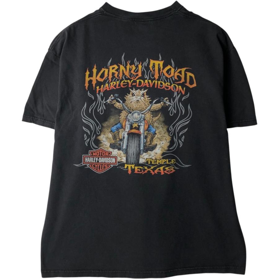 古着 00年代 ハーレーダビッドソン Harley-Davidson モーターサイクル