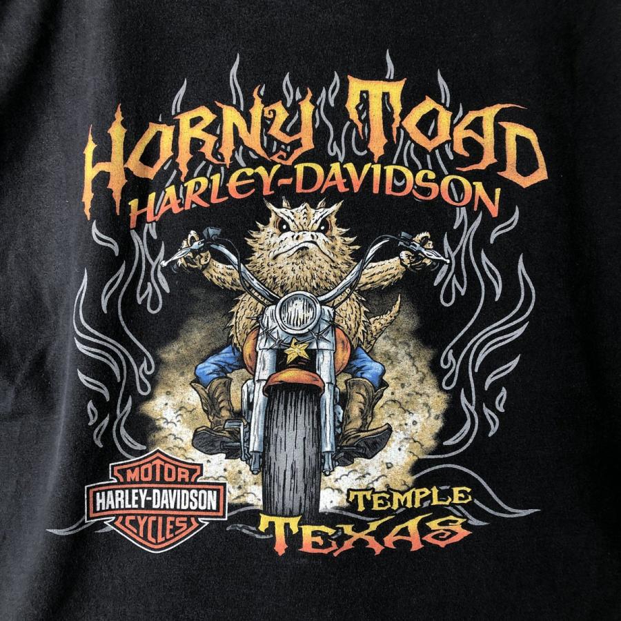 古着 00年代 ハーレーダビッドソン Harley-Davidson モーターサイクル