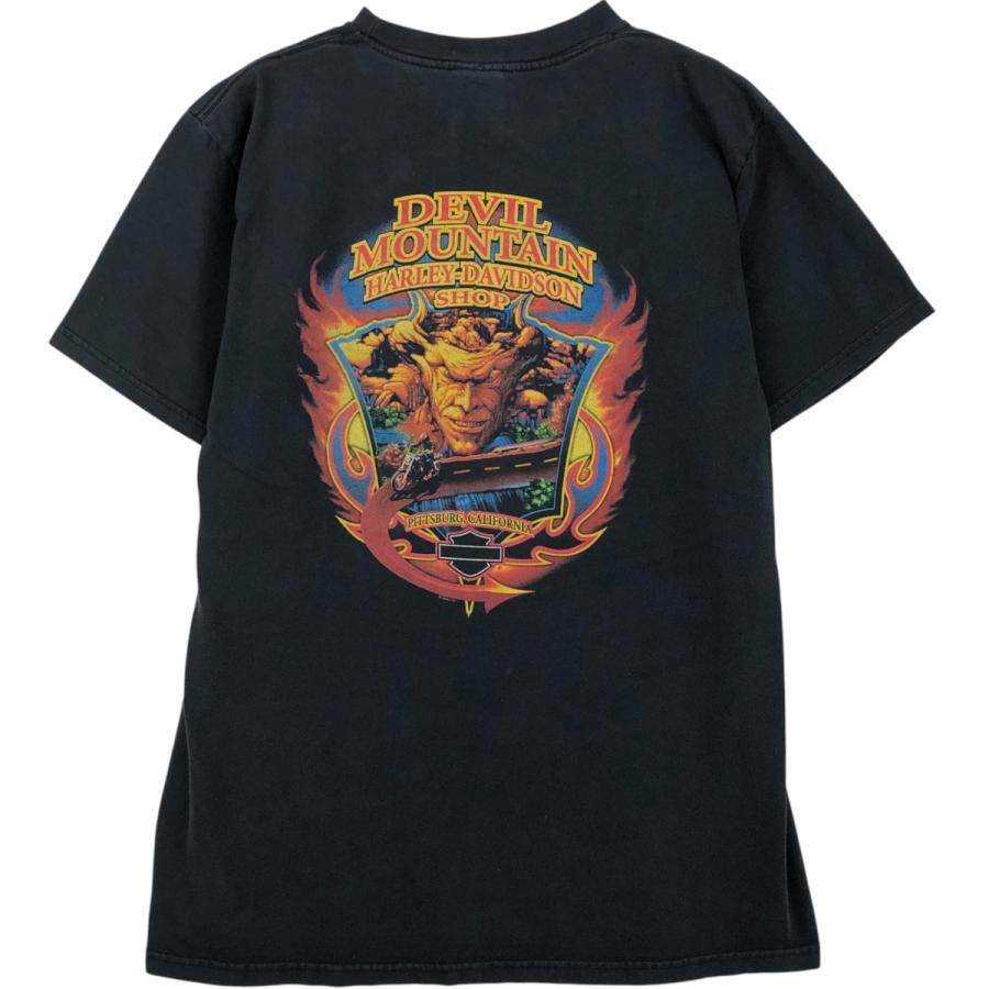 古着 00年代 ハーレーダビッドソン Harley-Davidson ファイヤー