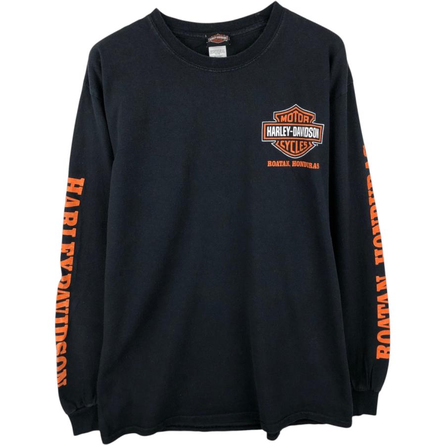 古着 ハーレーダビッドソン Harley-Davidson ロングTシャツ ロンT