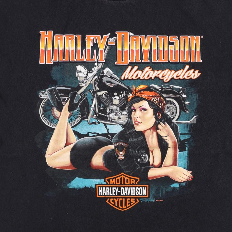 古着 ハーレーダビッドソン Harley-Davidson ピンナップガール