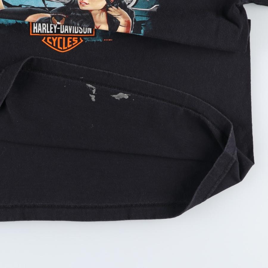 古着 ハーレーダビッドソン Harley-Davidson ピンナップガール
