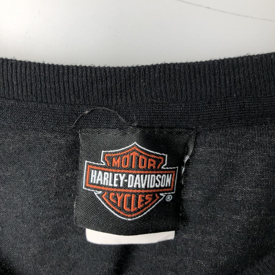 古着 ハーレーダビッドソン Harley-Davidson ロングTシャツ ロンT