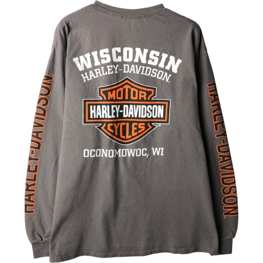 古着 ハーレーダビッドソン Harley-Davidson ロングTシャツ ロンT
