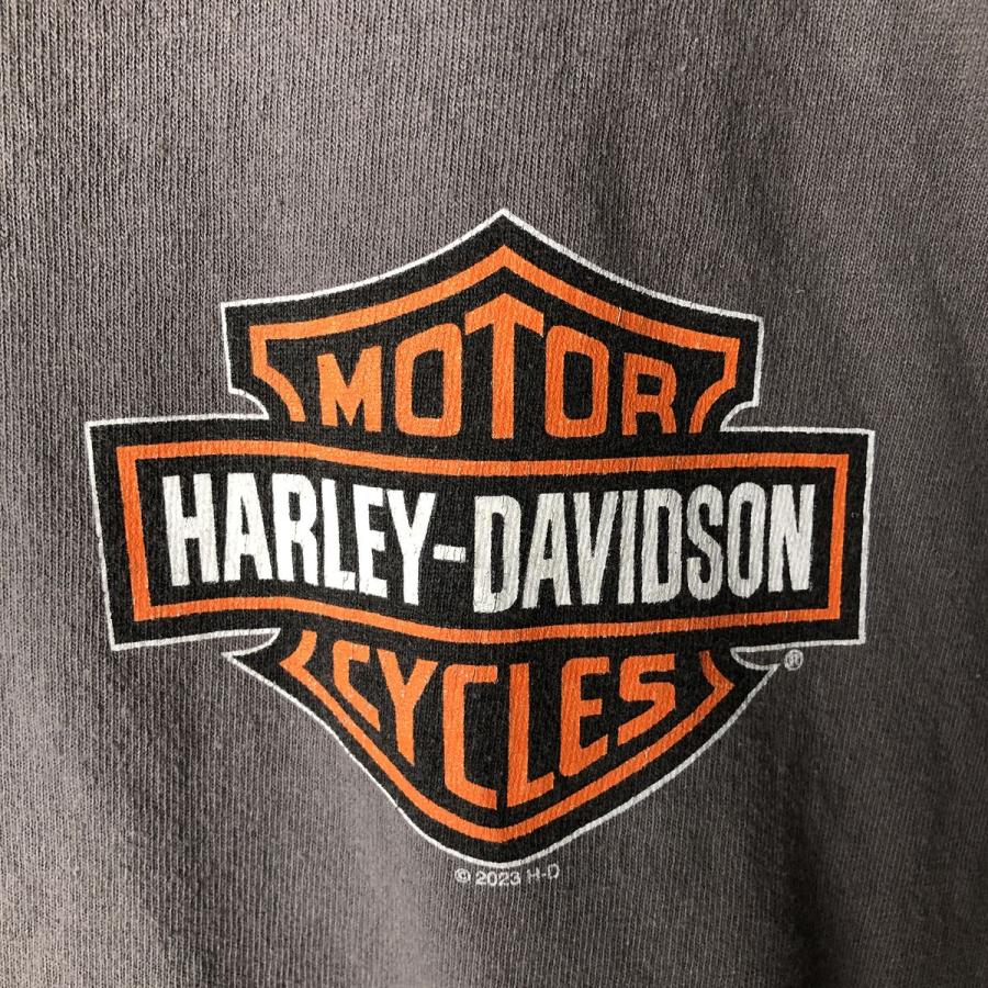 古着 ハーレーダビッドソン Harley-Davidson ロングTシャツ ロンT
