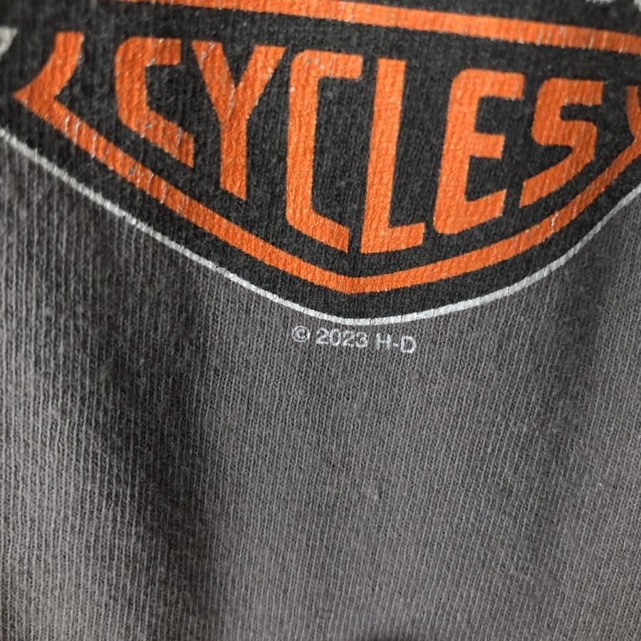 古着 ハーレーダビッドソン Harley-Davidson ロングTシャツ ロンT
