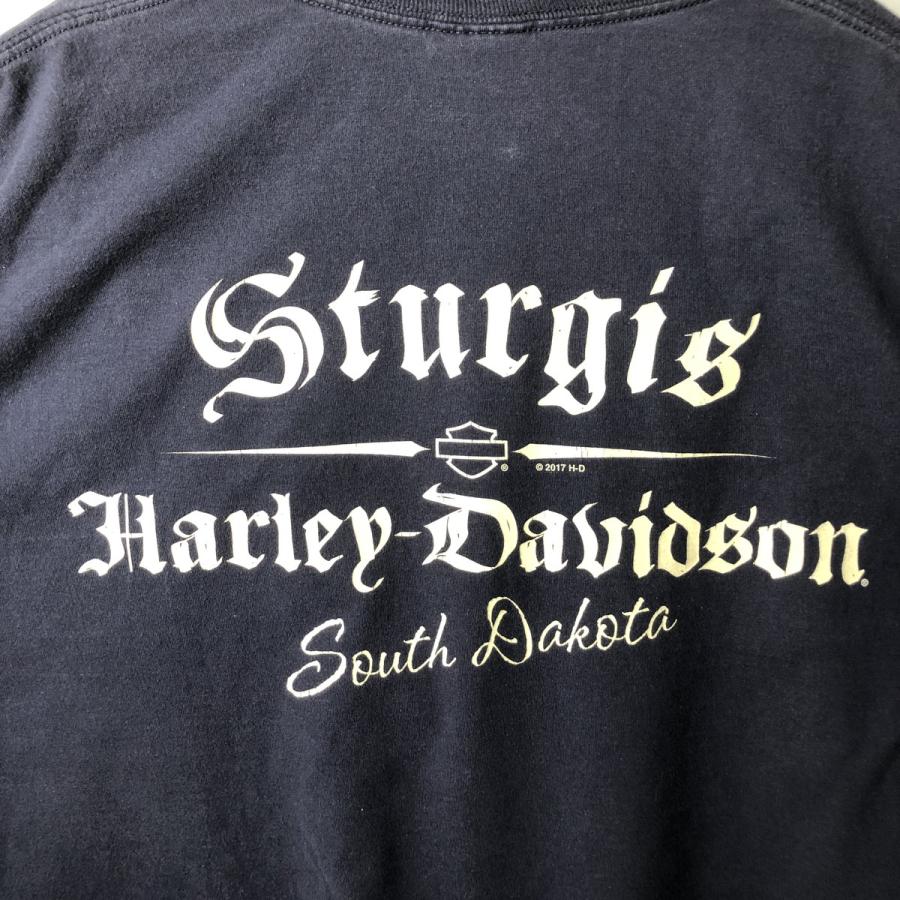 古着 ハーレーダビッドソン Harley-Davidson ロングTシャツ ロンT