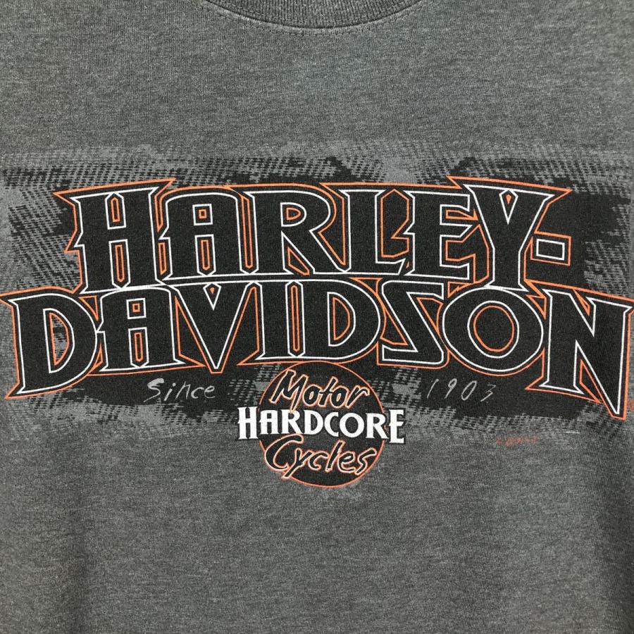古着 ハーレーダビッドソン Harley-Davidson ロングTシャツ ロンT USA