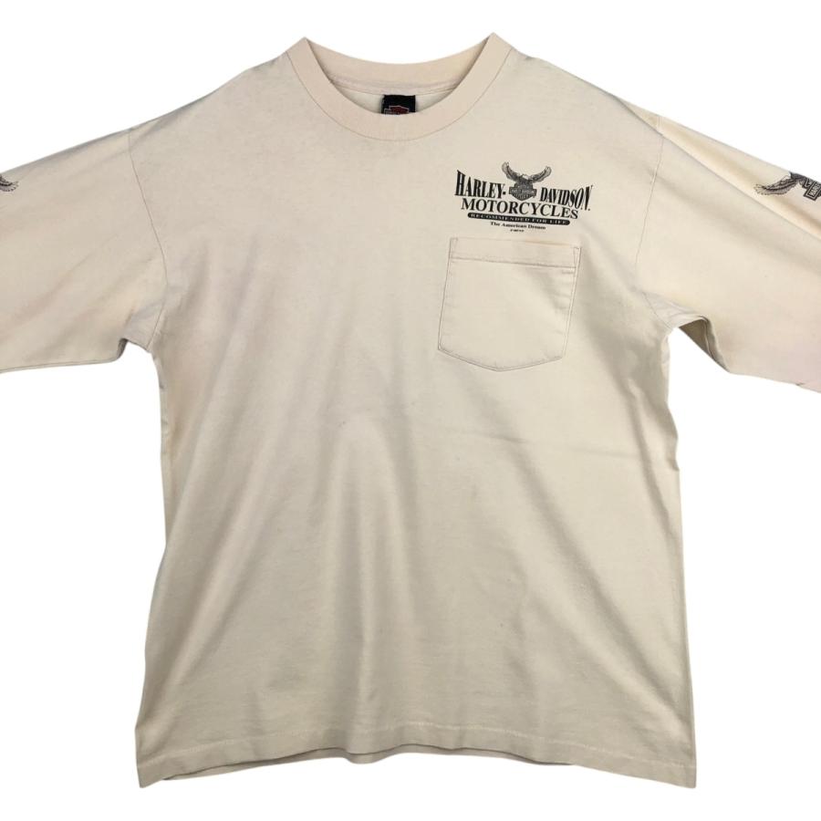 ハーレーダビッドソン ヴィンテージ ロンt tシャツ イーグル トライバル 古着 90年代 ハーレーダビッドソン Harley-Davidson 鷲柄 イーグル柄