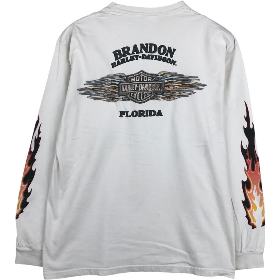 Harley-Davidson ファイヤーパターン 長袖Tシャツ 古着 ハーレーダビッドソン Harley-Davidson ファイヤーパターン