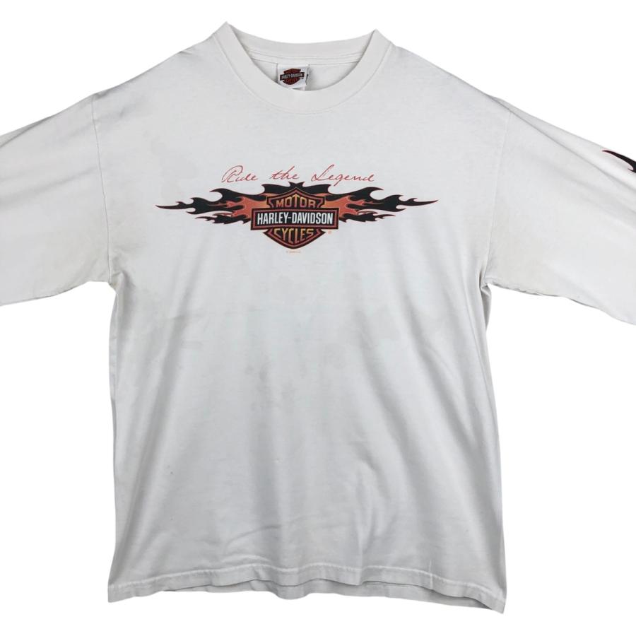 古着 ハーレーダビッドソン Harley-Davidson ファイヤーパターン