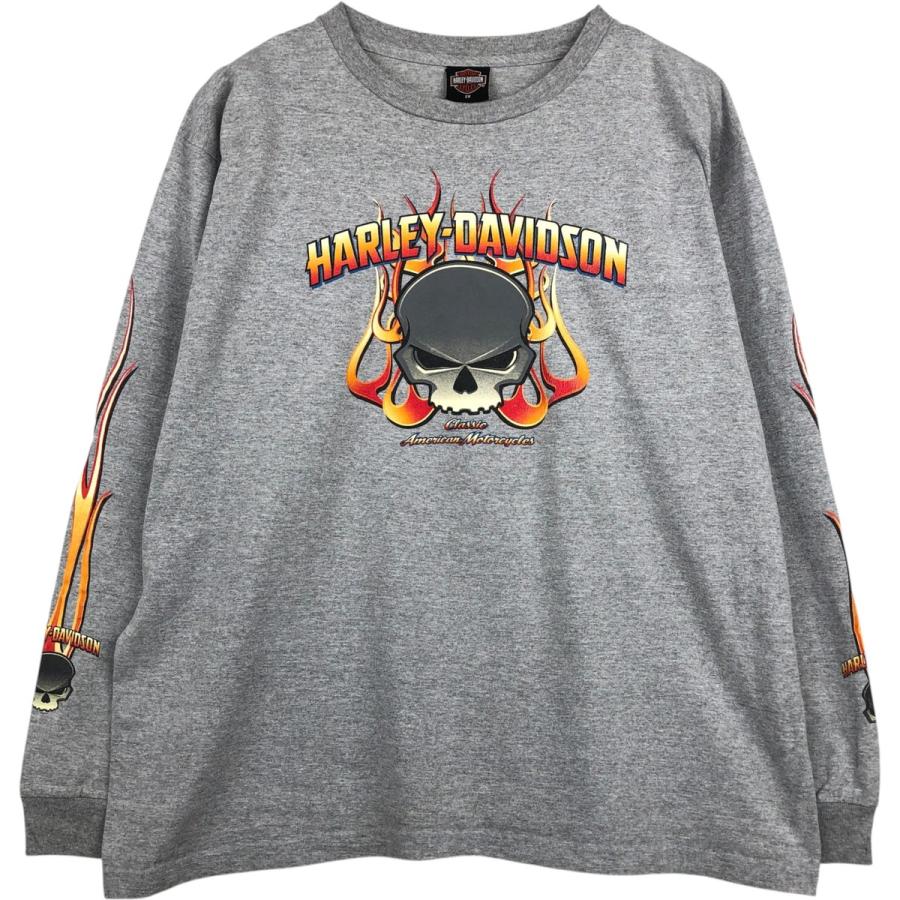 古着 00年代 ハーレーダビッドソン Harley-Davidson ファイヤー 