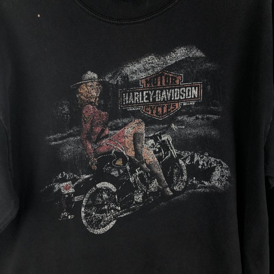 古着 ハーレーダビッドソン Harley-Davidson ピンナップガール