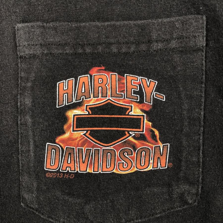 古着 ハーレーダビッドソン Harley-Davidson ファイヤーパターン ワニ