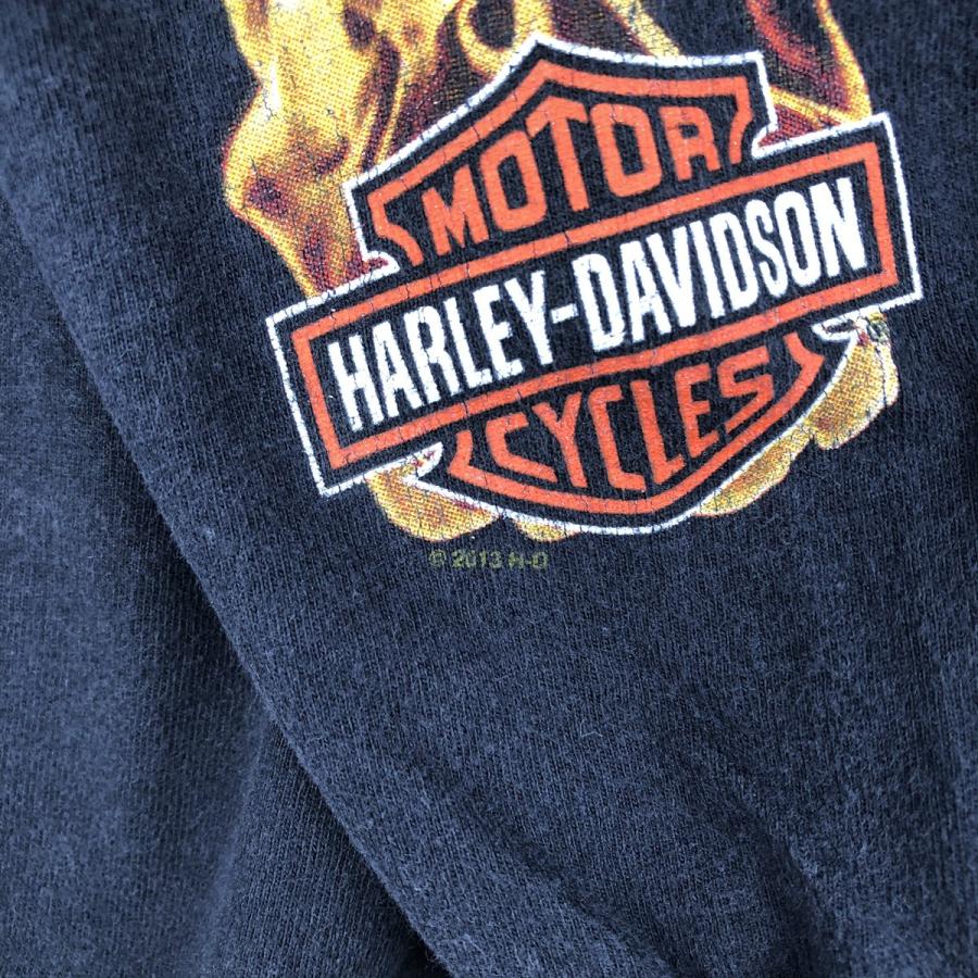 古着 ハーレーダビッドソン Harley-Davidson ファイヤーパターン ワニ