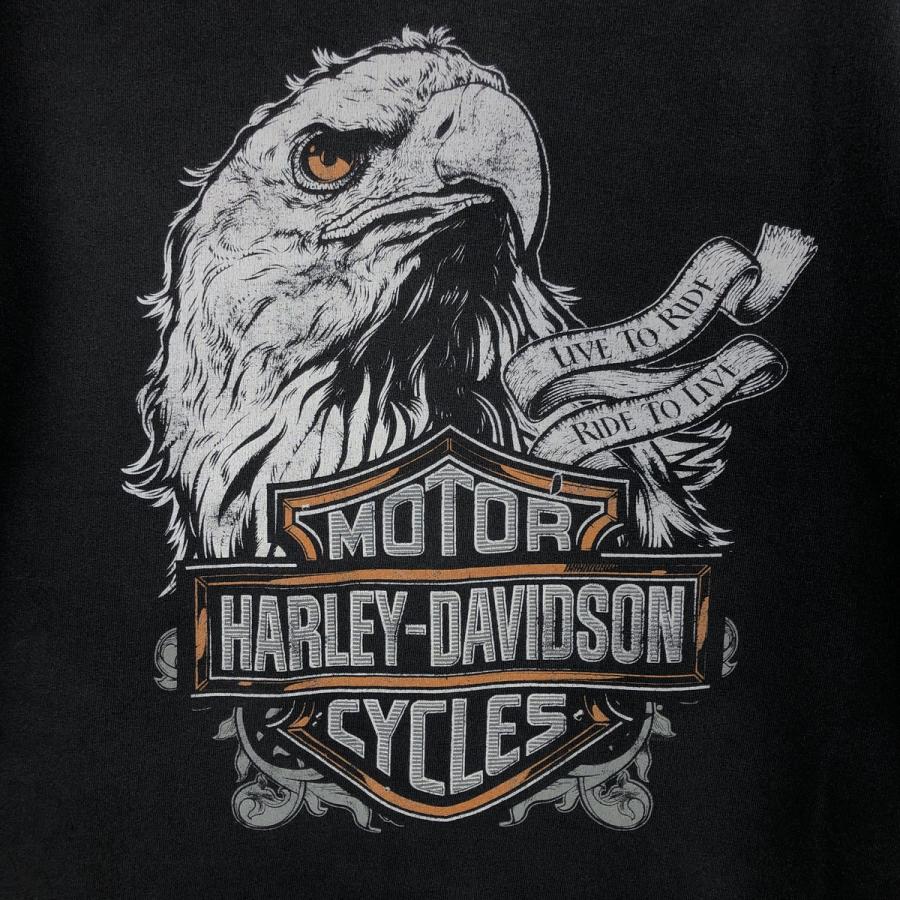 古着 ハーレーダビッドソン Harley-Davidson 鷲柄 イーグル柄 ロングT