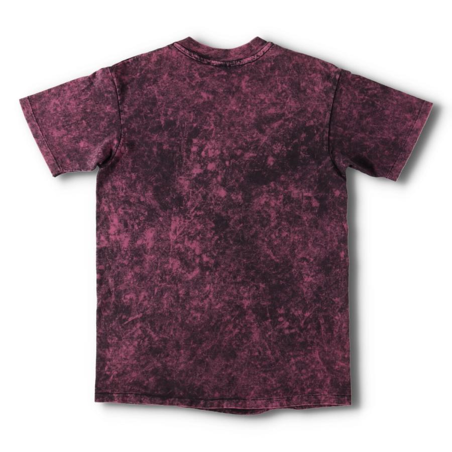 Hanes 古着 80年代 ヘインズ PINK FLOYD ピンクフロイド THE