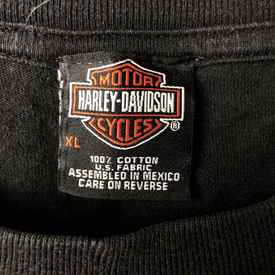 古着 ~00年代 ハーレーダビッドソン Harley-Davidson ファイヤー