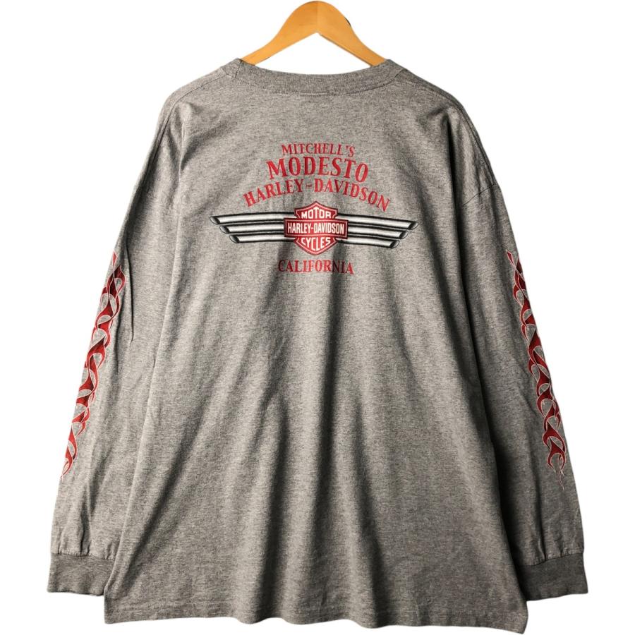 00s HARLEY DAVIDSON ファイヤーパターン プリント ロンT 古着 00年代 ハーレーダビッドソン Harley-Davidson ファイヤー
