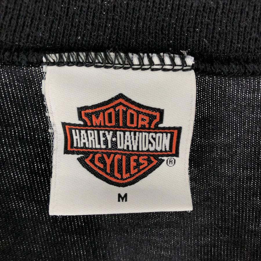 Harley-Davidson ハーレーダビットソン　トライバル　ロンT 古着 00年代 ハーレーダビッドソン Harley-Davidson トライバル