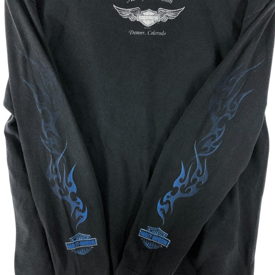 Harley-Davidson ハーレーダビットソン　トライバル　ロンT 古着 00年代 ハーレーダビッドソン Harley-Davidson トライバル