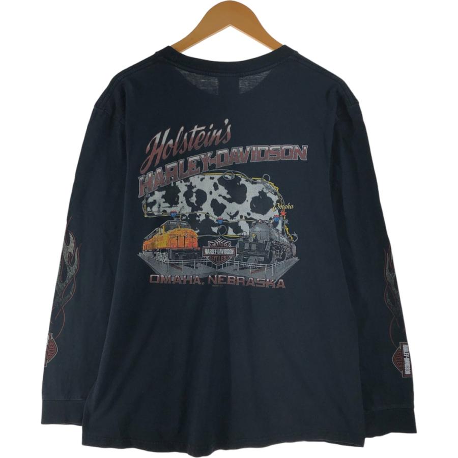 00s USA製 ハーレーダビッドソン 長袖 ロンT 白 L ファイアーパターン 90s USA製 HARLEY-DAVIDSONハーレー ダビッドソン フレイムス