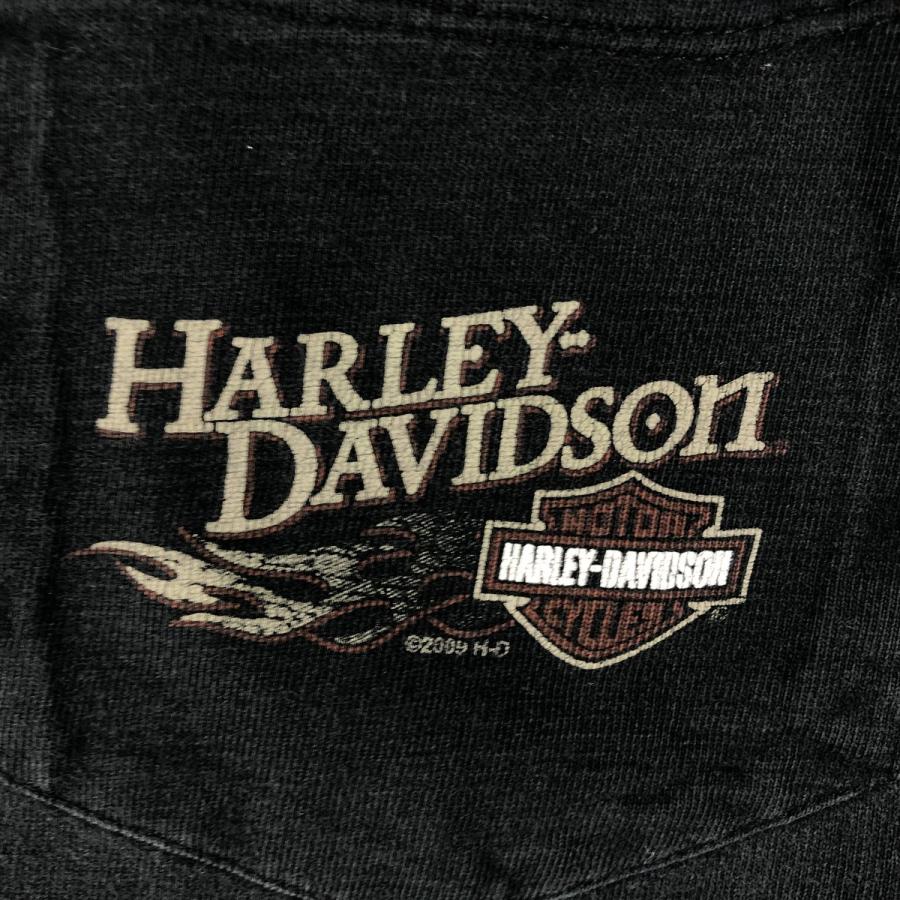 古着 00年代 ハーレーダビッドソン Harley-Davidson ファイヤー