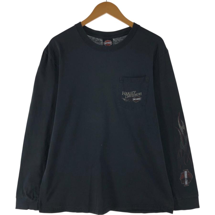 売切り00s Harley-Davidson 鷲　ファイヤーパターン　ロンT 古着 00年代 ハーレーダビッドソン Harley-Davidson ファイヤー