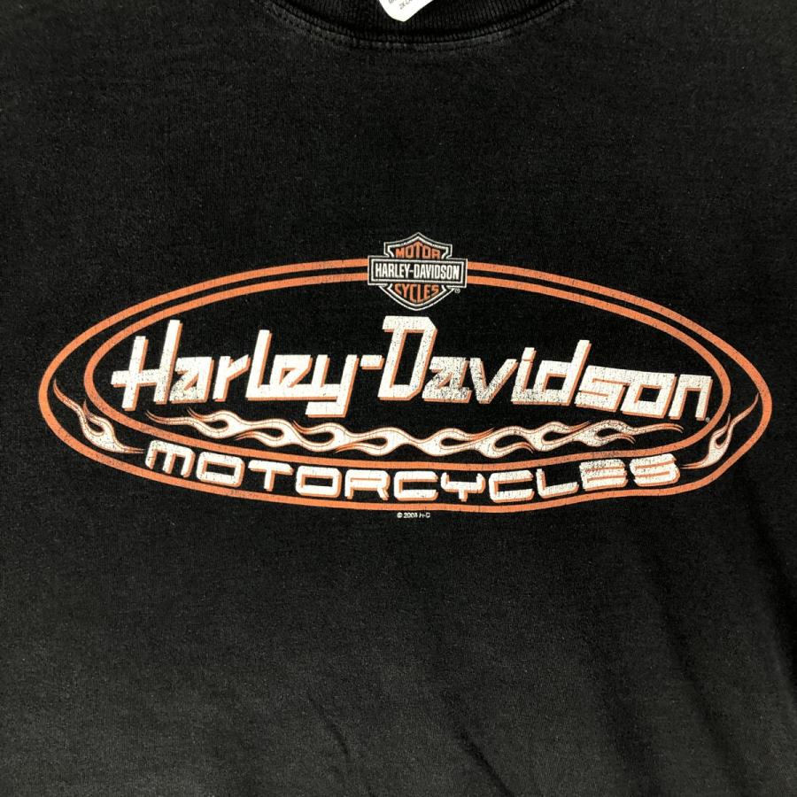 【美品】HARLEY DAVIDSON ハーレーダビットソンイーグルTシャツ M 古着 00年代 ハーレーダビッドソン Harley-Davidson 鷲柄
