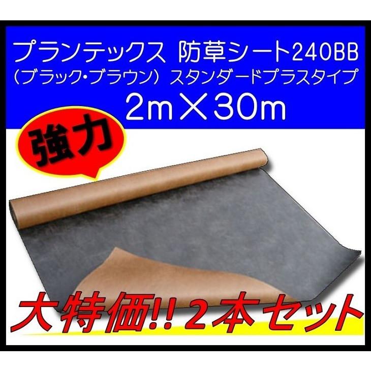 本日限定 えす あーとジャネット Yahoo 店ザバーン プランテックス