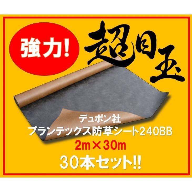 ザバーン　プランテックス　デュポン社　30本セット　大特価　PT-240BB2.0　プランテックス240BB　2ｍ×30ｍ　240BB　防草シート　ブラック・ブラウン