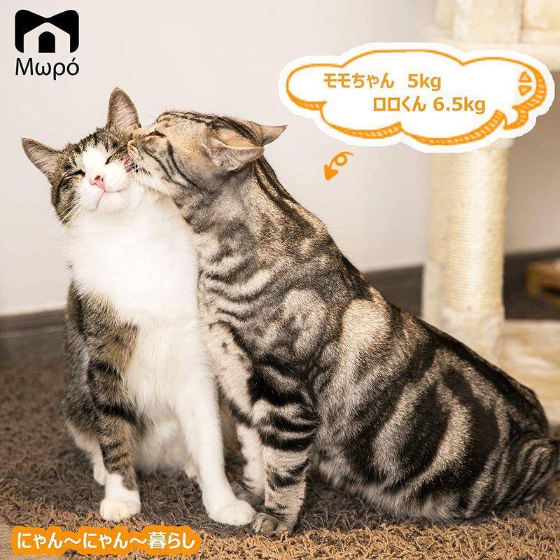 Mwpo キャットタワー 多機能 豪華な猫タワー おしゃれ 多頭飼い 人気 cattower 057A キャットタワー 多機能 豪華な猫タワー おしゃれ 多頭飼い 人気 cattower 057A 宮