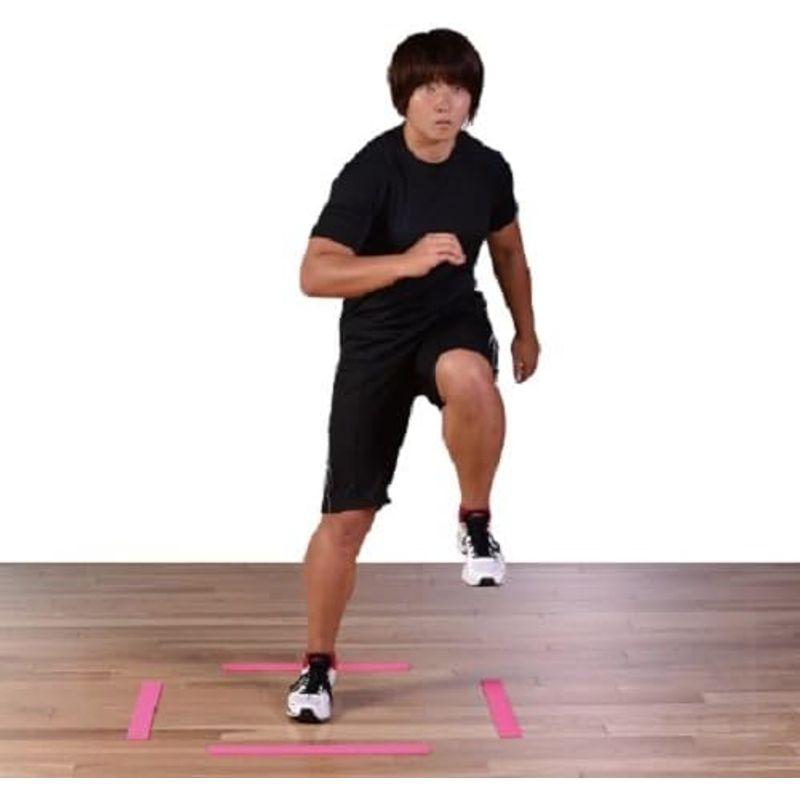 [大特価] NISHI(ニシ・スポーツ) アジリティースラッツ 室内用 NT7441C 【2097070303】(10815円)