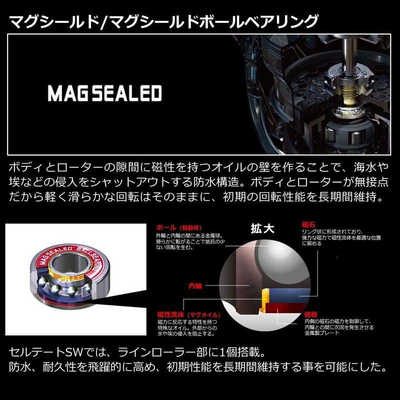 ダイワ(DAIWA) スピニングリール セルテート SW 6000-H ダイワ(DAIWA) スピニングリール セルテート SW 6000-H